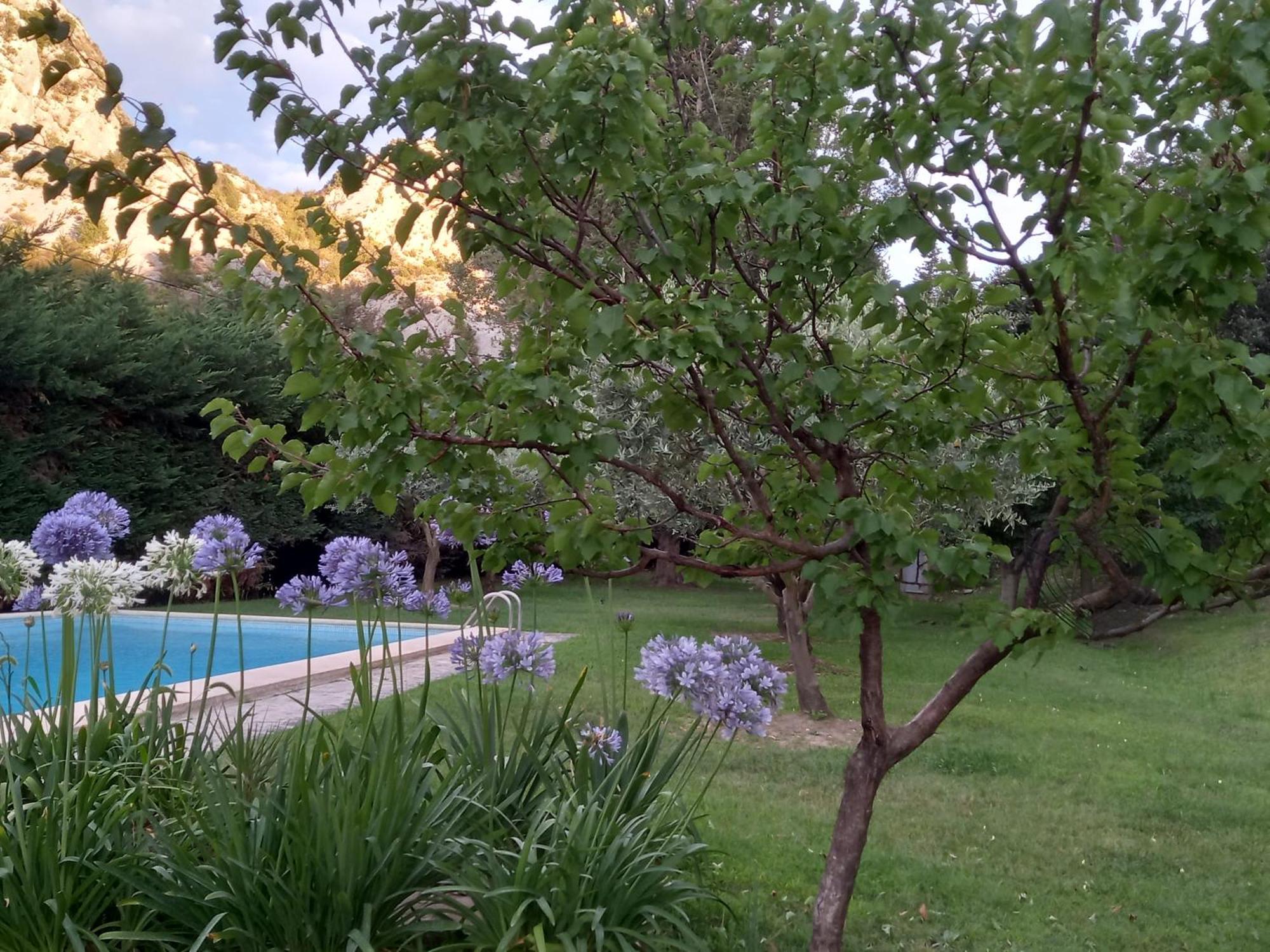 La Roulotte Du Petit Paradis Saint-Rémy-de-Provence Εξωτερικό φωτογραφία